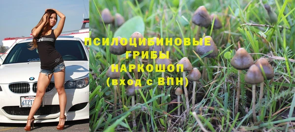 винт Приозерск