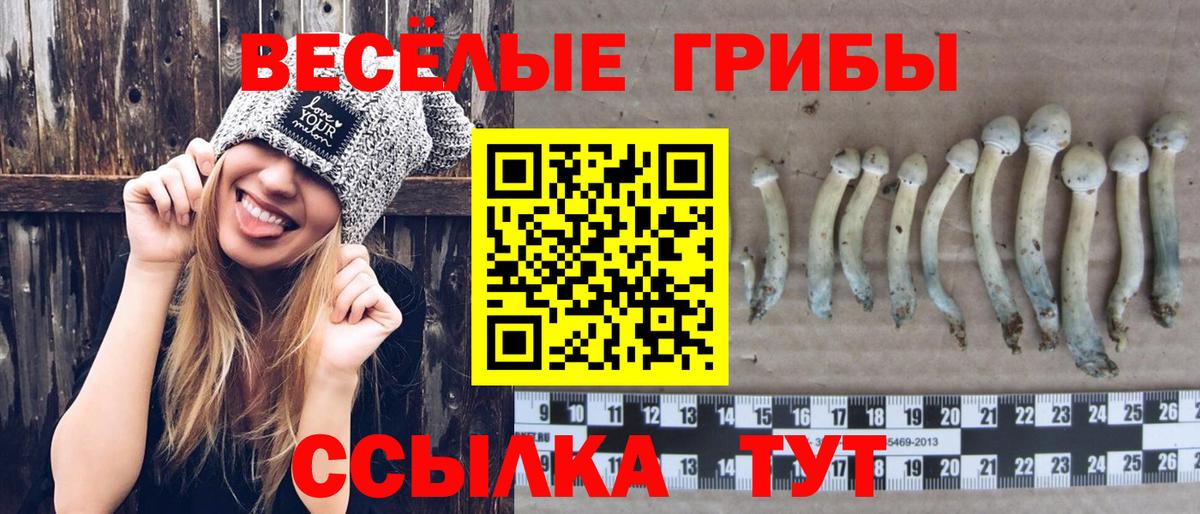 Псилоцибиновые грибы Psilocybe  Галлюциногенные грибы Psilocybine cubensis  Димитровград 