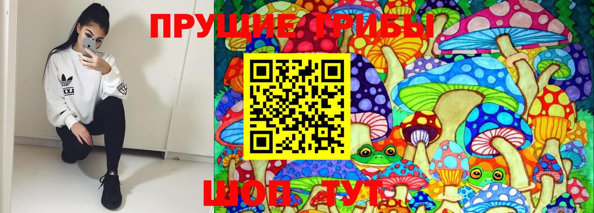 Псилоцибиновые грибы Magic Shrooms  Вход с VPN  Димитровград 