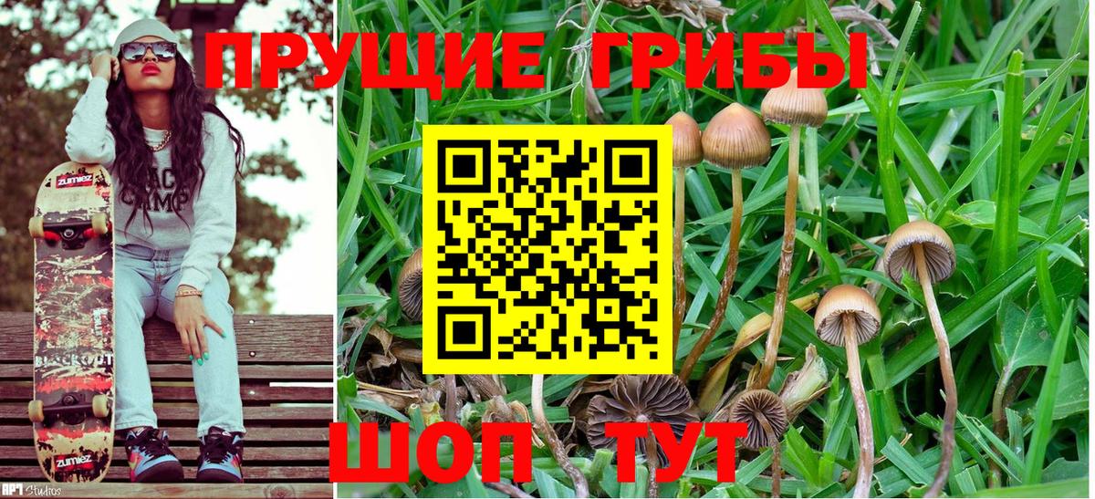 Псилоцибиновые грибы Magic Shrooms Димитровград