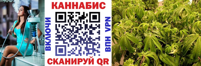 даркнет сайт Димитровград Бошки Шишки семена